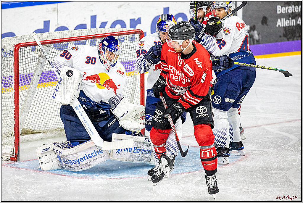DEL;  Koelner Haie - EHC Red Bull Muenchen; Koeln, 02.02.2020